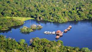 Amazônia